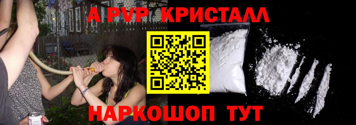 Alfa_PVP крисы CK Новоалтайск