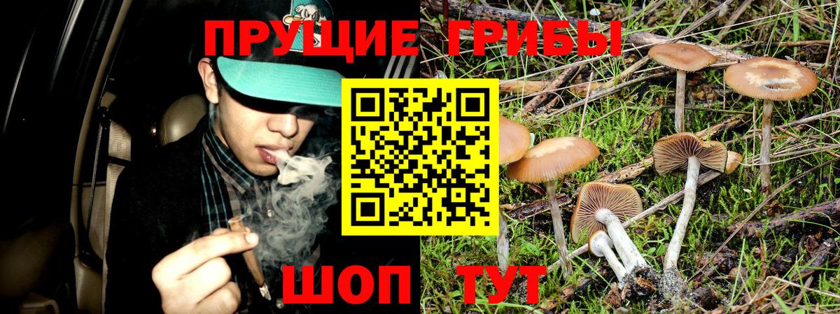 Псилоцибиновые грибы MAGIC MUSHROOMS Новоалтайск
