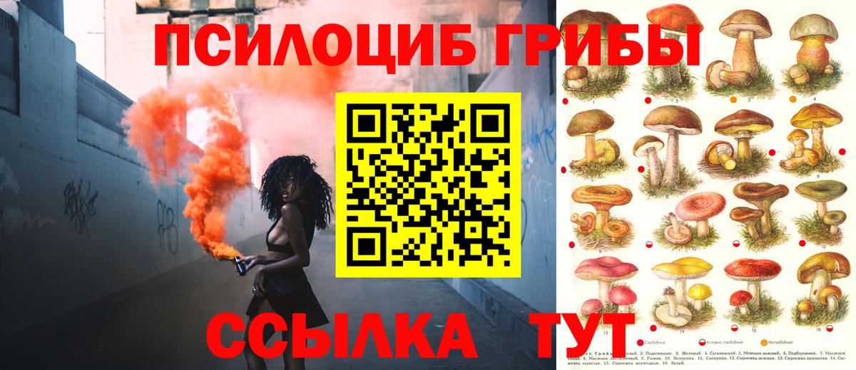 Новоалтайск  Псилоцибиновые грибы Cubensis  Вход с VPN  Псилоцибиновые грибы ЛСД 